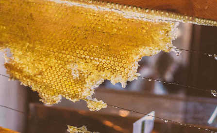 Jak wybrać odpowiedni drut pszczelarski?